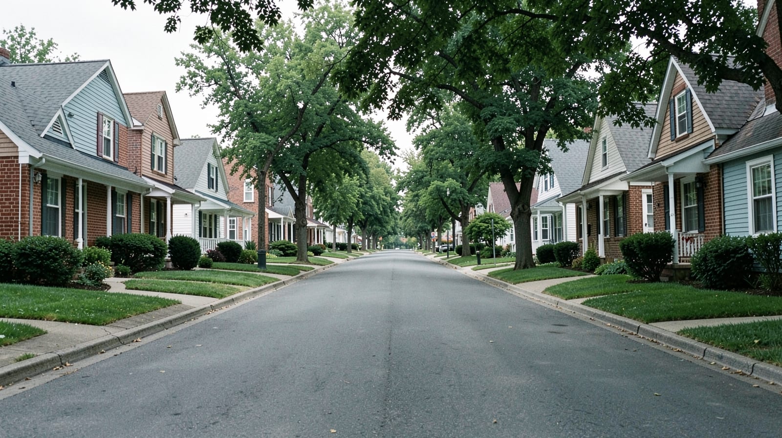 Mold Remediation in Quakertown, PA
