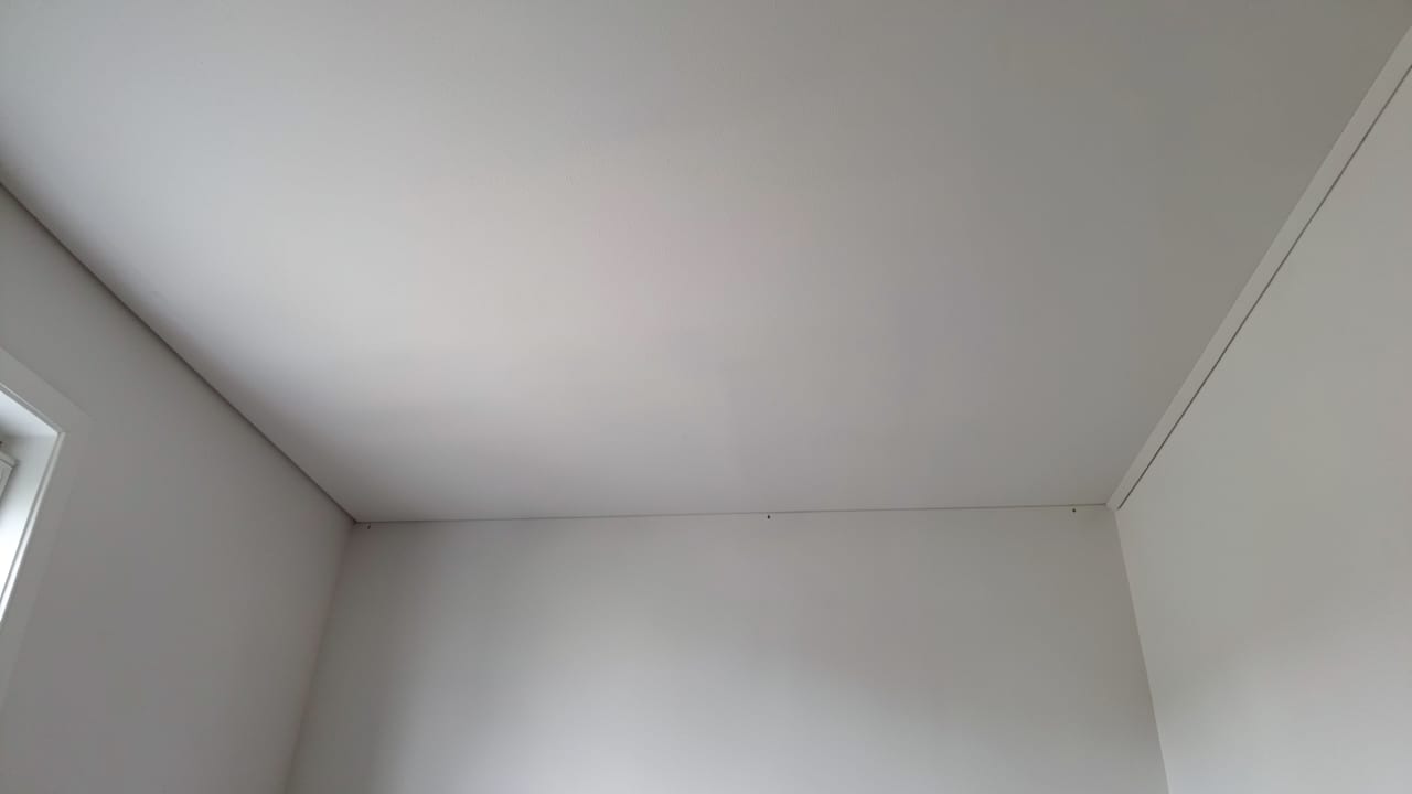 Ceiling Mold Removal in Rocky Valley, PA in Rocky Valley