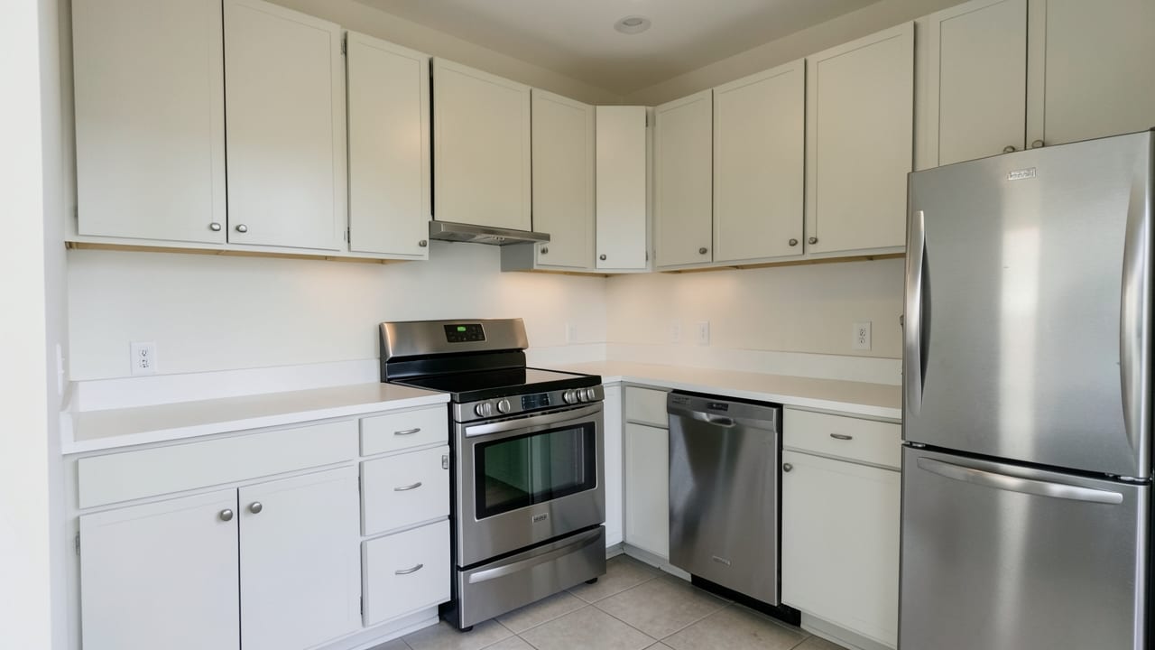 Kitchen Mold Cleanup in Rocky Valley, PA in Rocky Valley