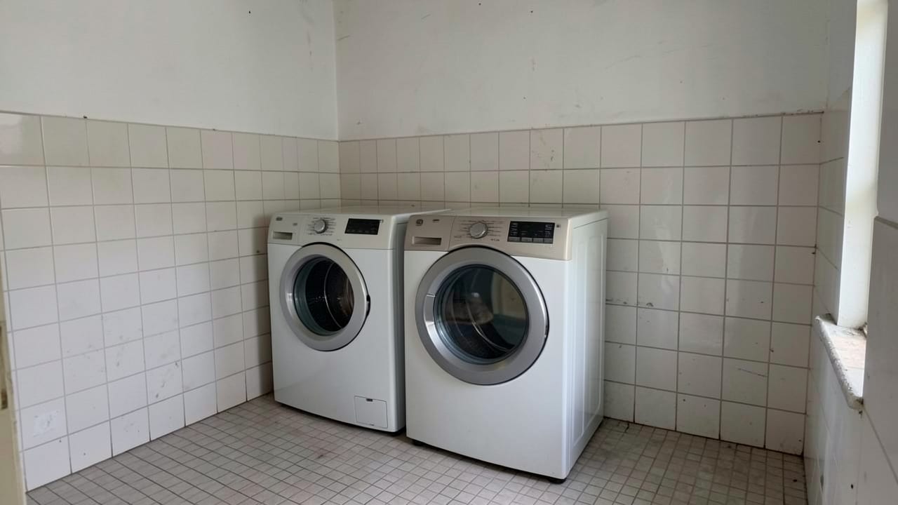 Laundry Room Mold Cleanup in Rocky Valley, PA in Rocky Valley