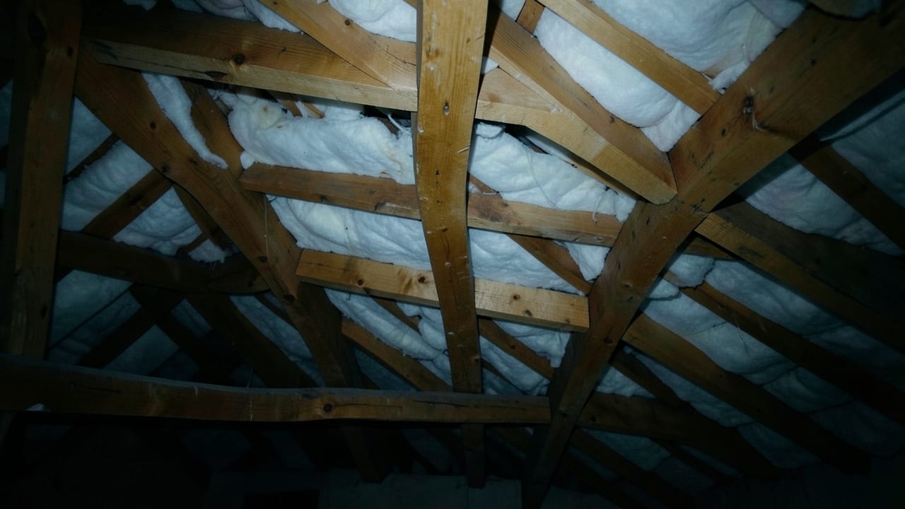 Roof Leak Mold Remediation in Rocky Valley, PA in Rocky Valley