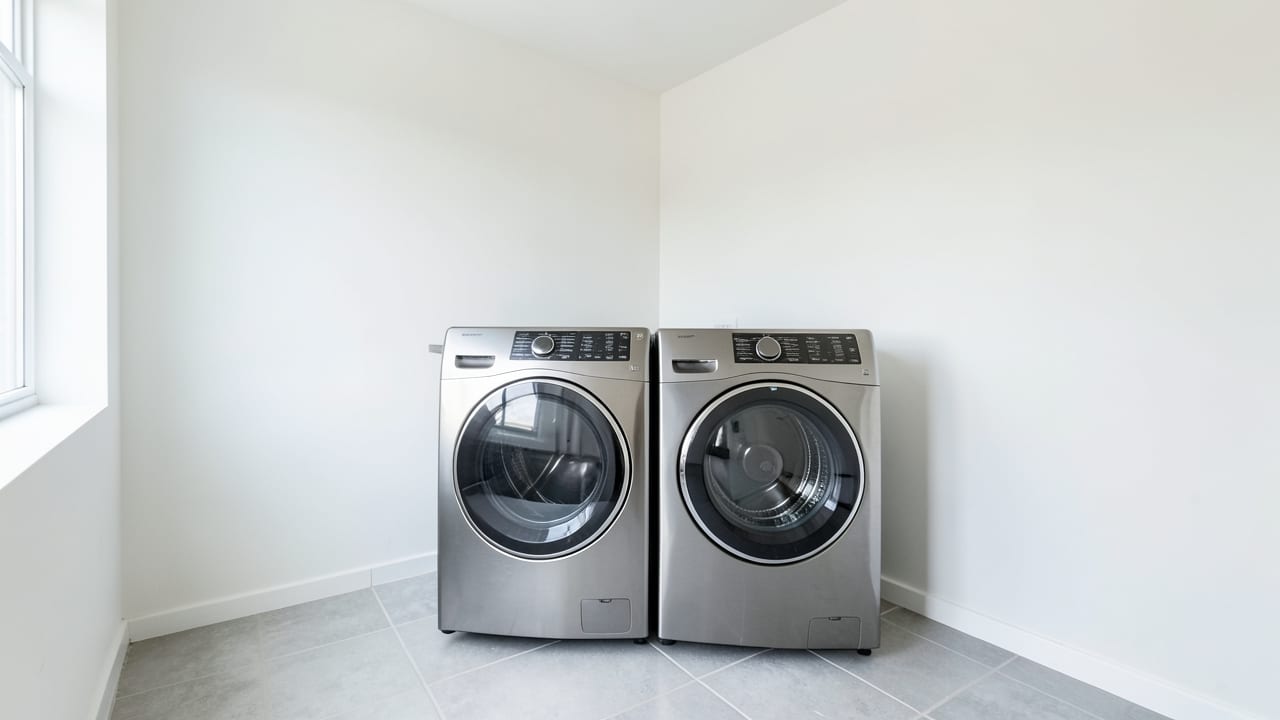 Laundry Room Mold Cleanup in Schenectady, NY in Schenectady