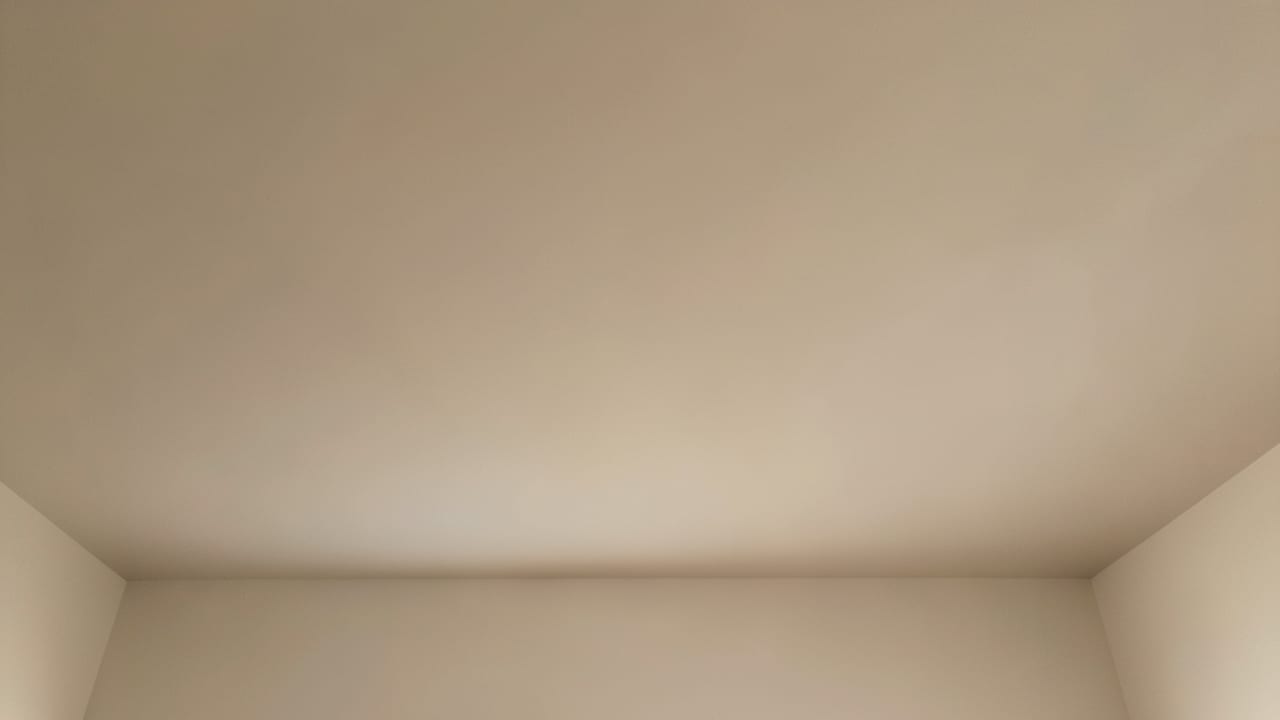 Ceiling Mold Removal in Winchester, VA in Winchester